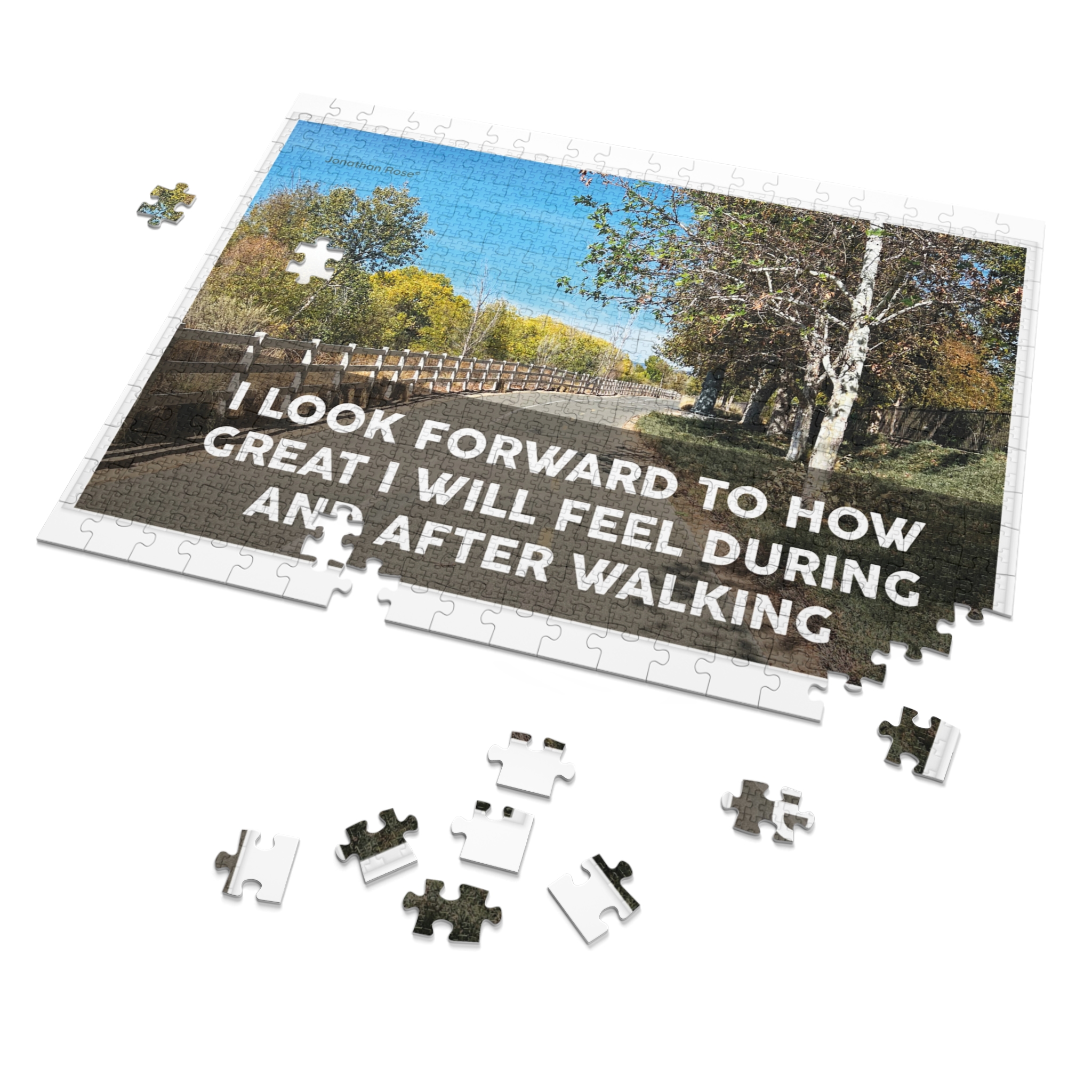 I look forward to how great I will feel during and after walking - Image 2