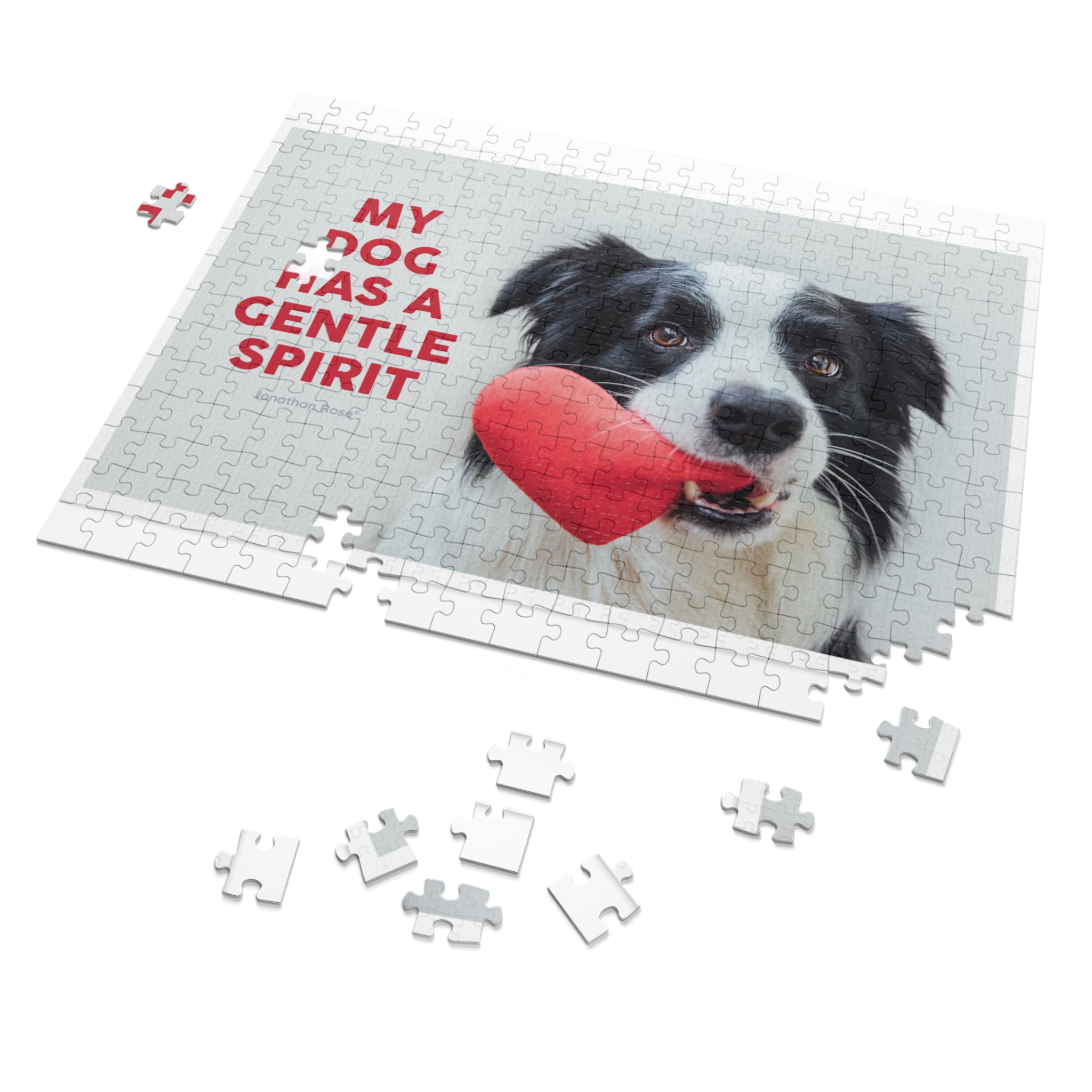 My dog has a gentle spirit - Image 2