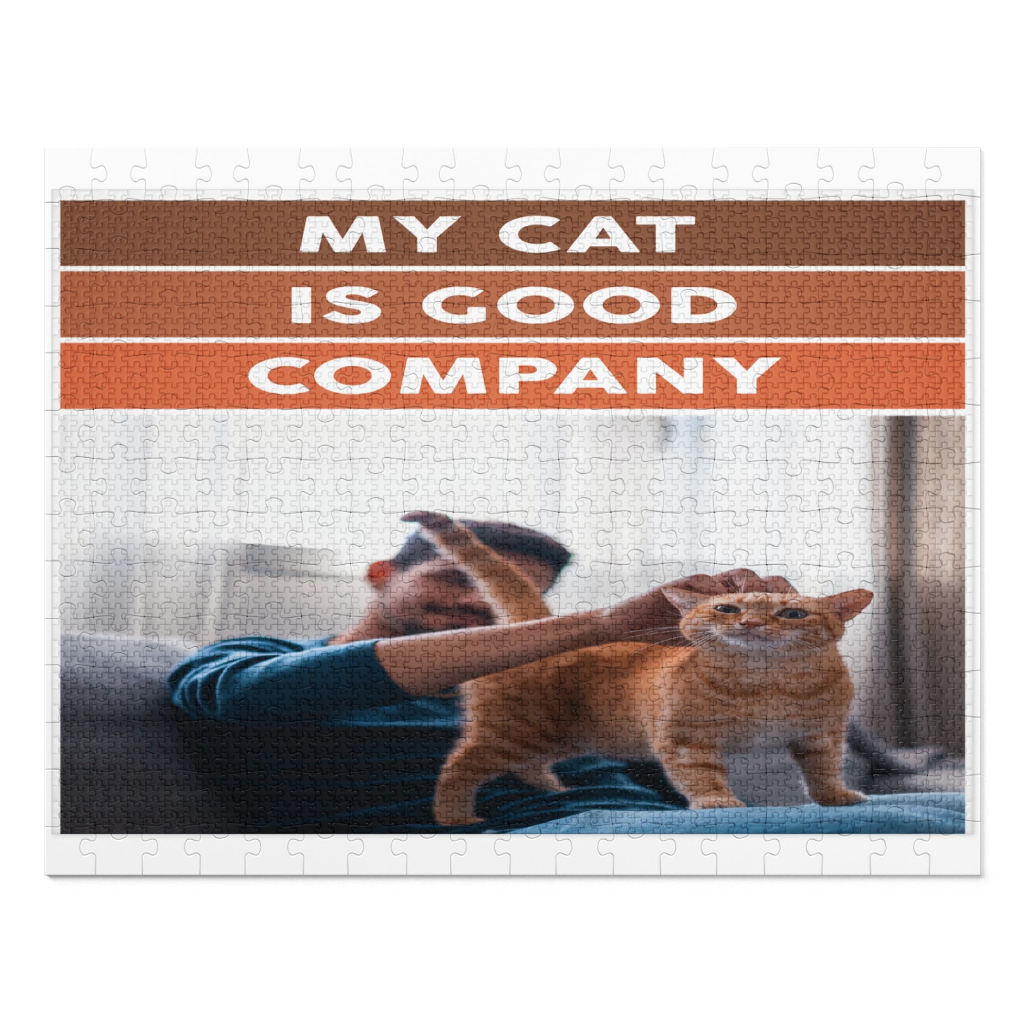 My cat is good company